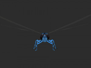 rigged dragonfly dragon fly 3D Model