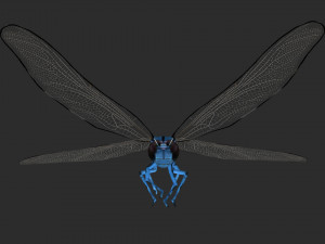 rigged dragonfly dragon fly 3D Model