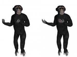 hileli şempanze 3D Model