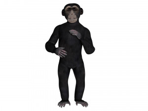 rigged chimpanzee 3D Model