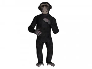 hileli şempanze 3D Model