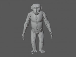 rigged chimpanzee 3D Model