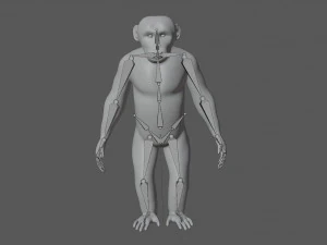 hileli şempanze 3D Model