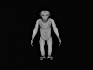 rigged chimpanzee 3D Model