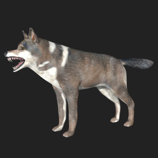 rigged wolf 3D Модель .c4d .max .obj .3ds .fbx .stl .blend 
