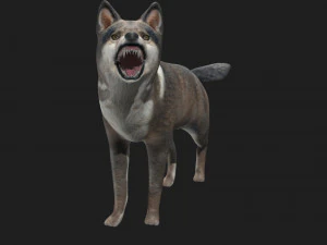 lupo truccato Modello 3D