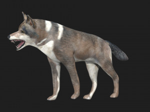 rigged wolf 3D Модель