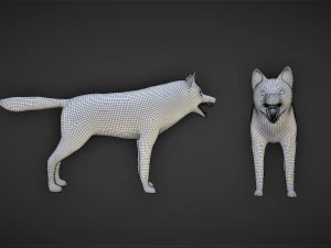 lupo truccato Modello 3D