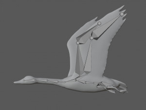 rigged canadian goose canada goose Modelo 3D
