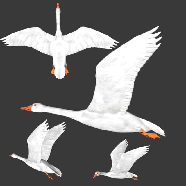 rigged white flying goose 3D Model .c4d .max .obj .3ds .fbx .stl .blend 