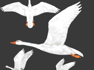 rigged white flying goose 3Dモデル