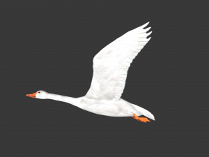 rigged white flying goose 3D Model