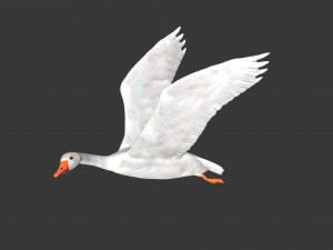 rigged white flying goose 3D Model