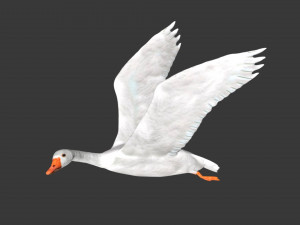 rigged white flying goose 3D Model