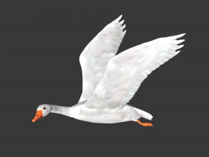 rigged white flying goose 3D Model