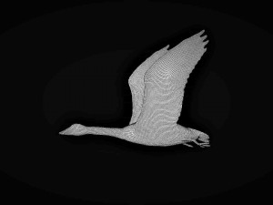 rigged white flying goose 3D Model
