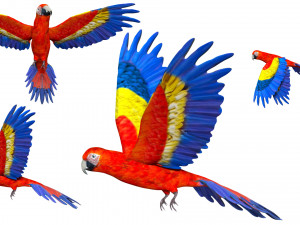 rigged red flying parrot 3Dモデル