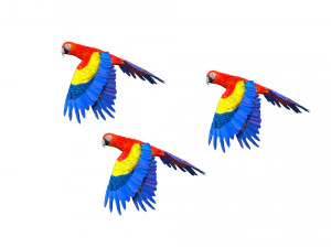 rigged red flying parrot 3D Model