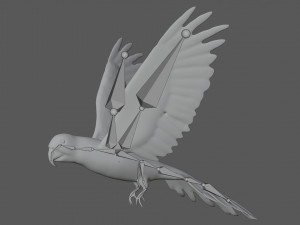 rigged red flying parrot 3Dモデル