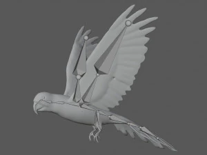 rigged red flying parrot 3D Model