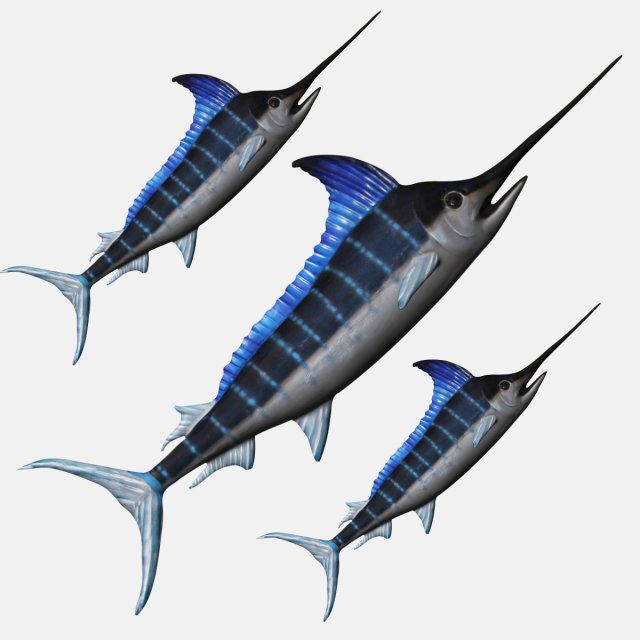 rigged swordfish merlin sword fish Model 3D .c4d .max .obj .3ds .fbx .stl .blend 