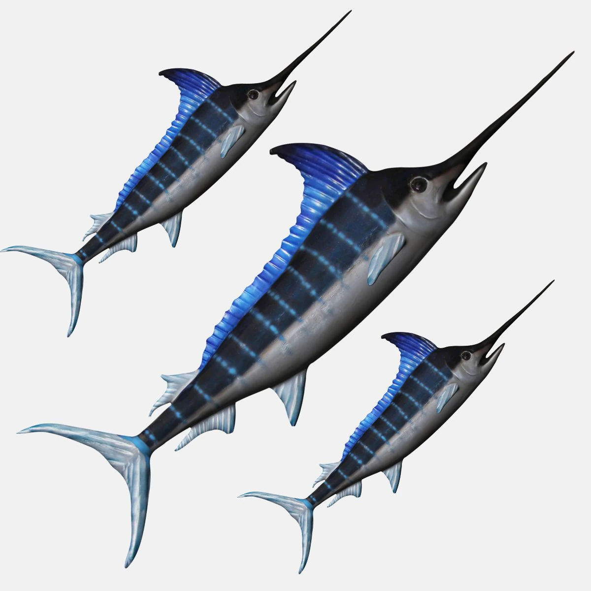 rigged swordfish merlin sword fish 3D Model .c4d .max .obj .3ds .fbx .stl .blend 
