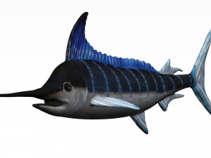 rigged swordfish merlin sword fish Model 3D