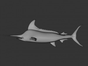 rigged swordfish merlin sword fish Model 3D