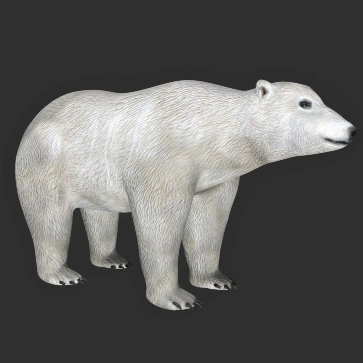 orso polare truccato Modello 3D .c4d .max .obj .3ds .fbx .stl .blend 