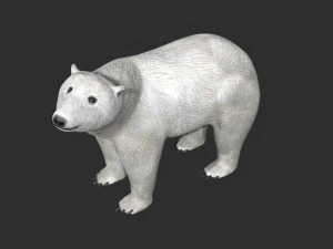 orso polare truccato Modello 3D
