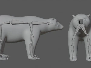 orso polare truccato Modello 3D