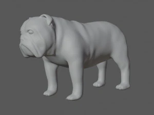 rigged bulldog bull dog 3D Model
