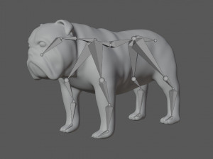 rigged bulldog bull dog Modelo 3D