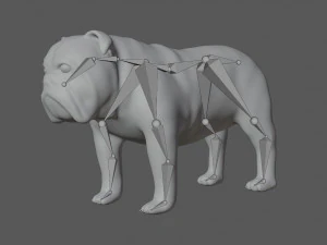 rigged bulldog bull dog 3D Model