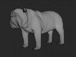 rigged bulldog bull dog 3D Model