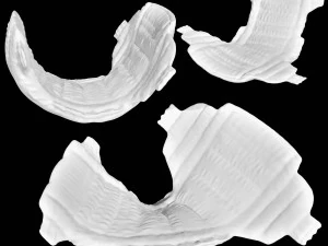 尿布装备婴儿布 3D 模型