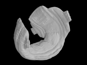 diaper rigged baby cloth 3D Model