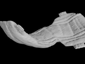 diaper rigged baby cloth 3D Model