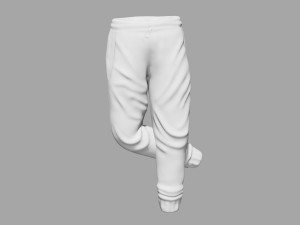 rigged sweatpants sportswear yoga pants track suit Modèle 3D