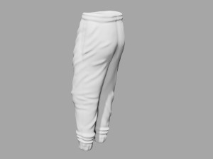 rigged sweatpants sportswear yoga pants track suit Modèle 3D