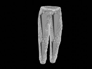 rigged sweatpants sportswear yoga pants track suit 3D Model