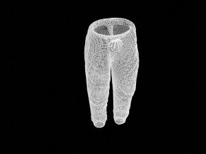 rigged sweatpants sportswear yoga pants track suit Modèle 3D
