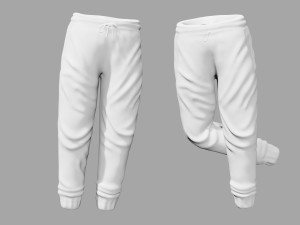 rigged sweatpants sportswear yoga pants track suit Modèle 3D
