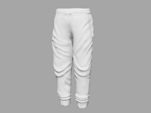 rigged sweatpants sportswear yoga pants track suit Modèle 3D