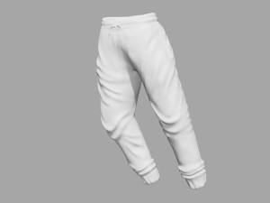 rigged sweatpants sportswear yoga pants track suit Modèle 3D