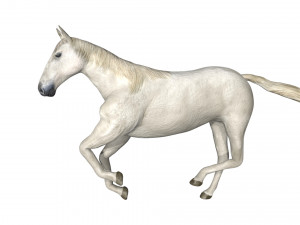 rigged horse 3D Модель