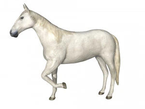 rigged horse 3D Model