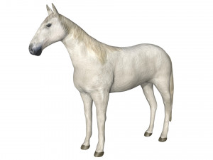 rigged horse 3D Модель