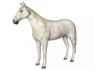 rigged horse 3D Model