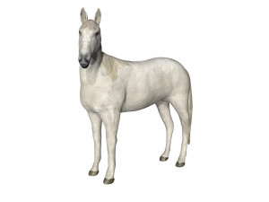 rigged horse 3D Модель
